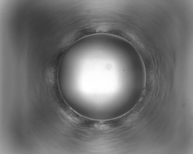 X0000076330311200609291127