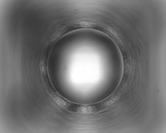 X0000076330317200609291127