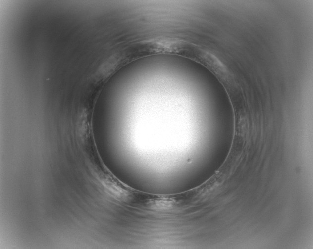 X0000076330318200609291127