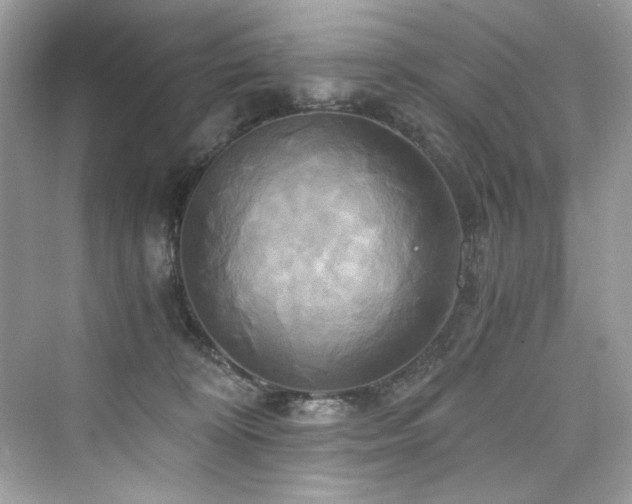X0000076330324200609291127
