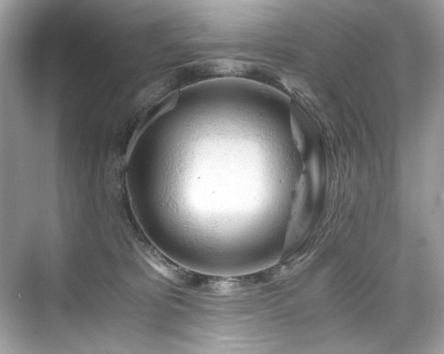 X0000076330325200609291127