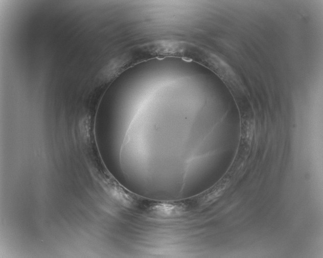 X0000076330326200609291127