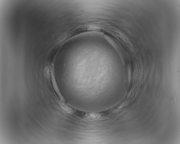 X0000076330329200609291127