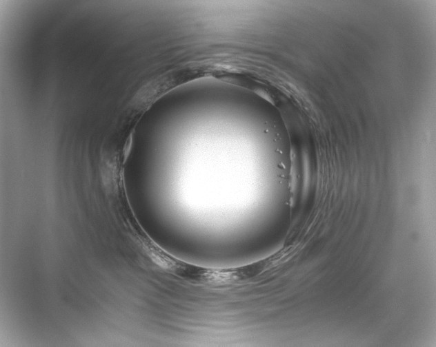 X0000076330333200609291127