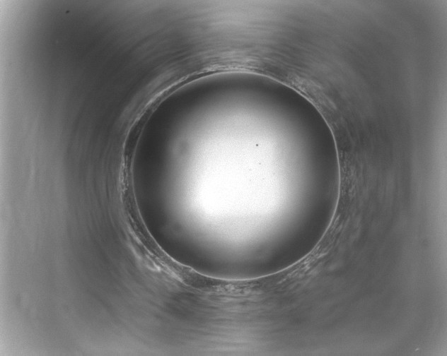 X0000076330338200609291126