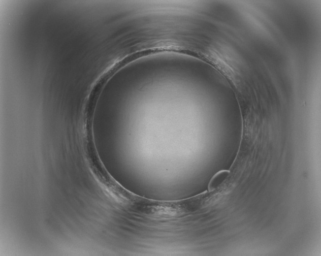 X0000076330347200609291126