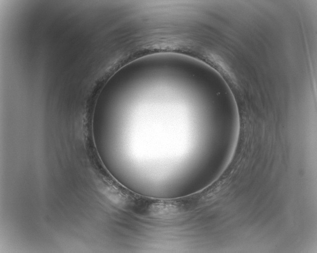 X0000076330354200609291126