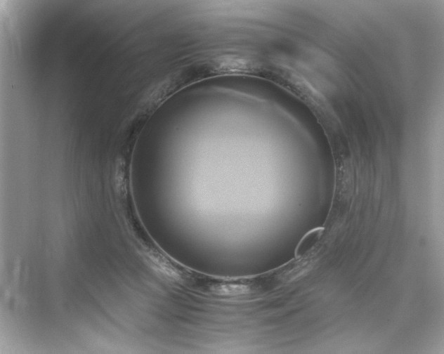 X0000076330361200609291126