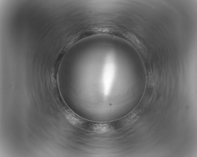 X0000076330377200609291126