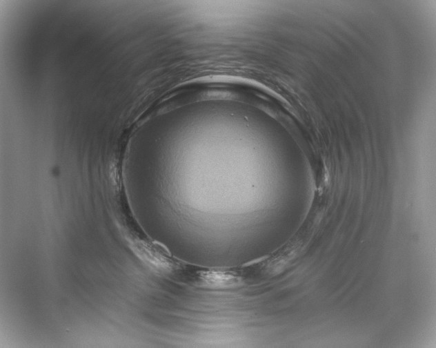 X0000076330380200609291126