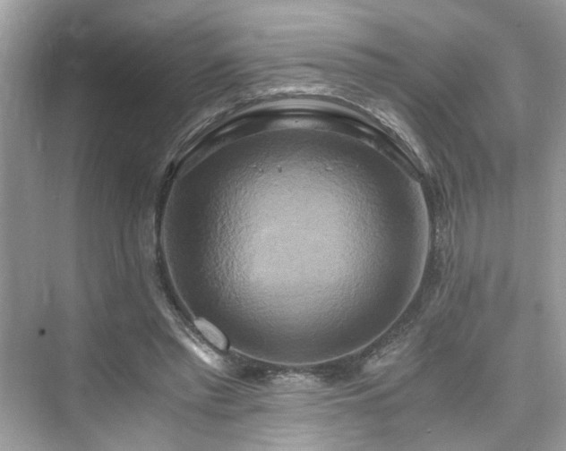 X0000076330397200609291125