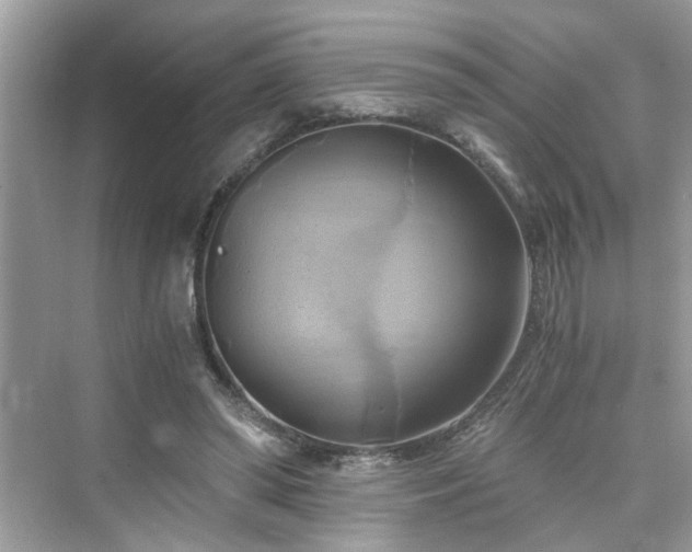 X0000076330398200609291125