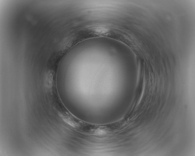 X0000076330412200609291125