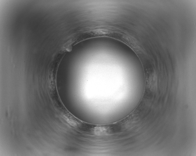 X0000076330418200609291125