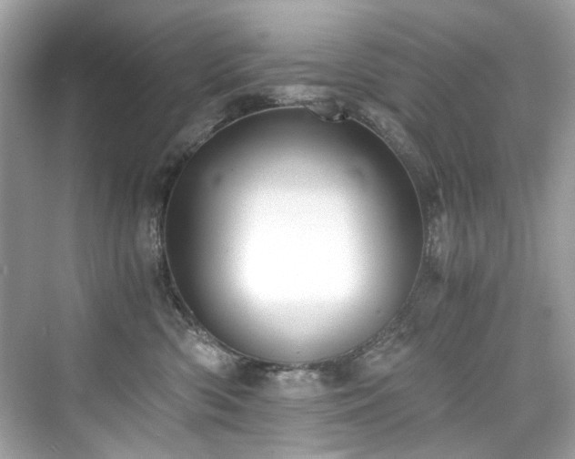 X0000076330426200609291125