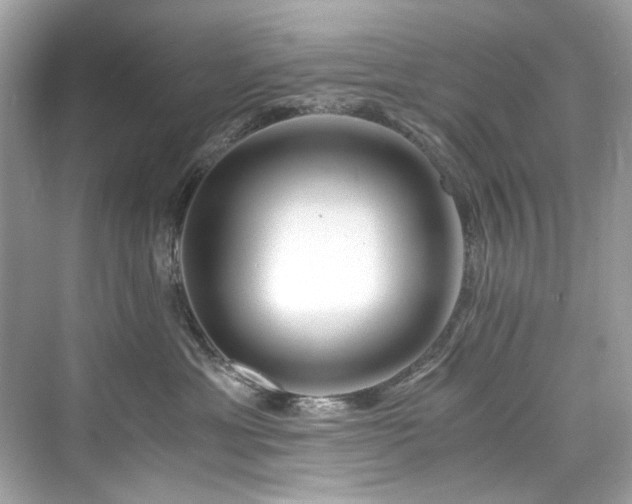 X0000076330429200609291125