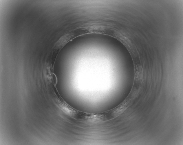 X0000076330430200609291125