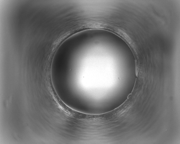 X0000076330433200609291124