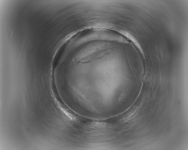 X0000076330437200609291124