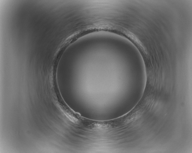 X0000076330442200609291124