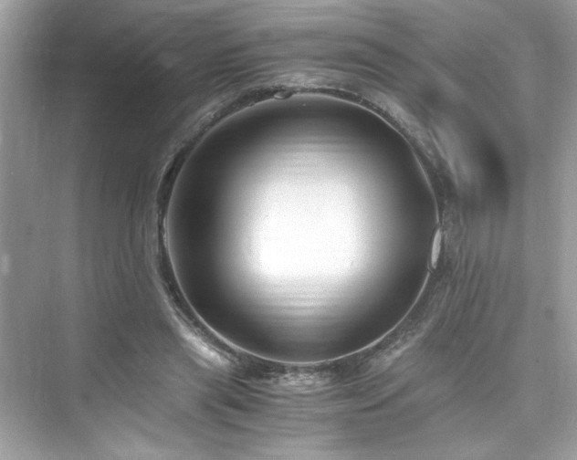 X0000076330445200609291124