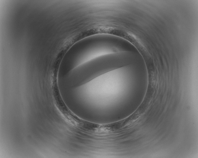 X0000076330451200609291124