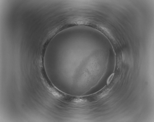 X0000076330453200609291124