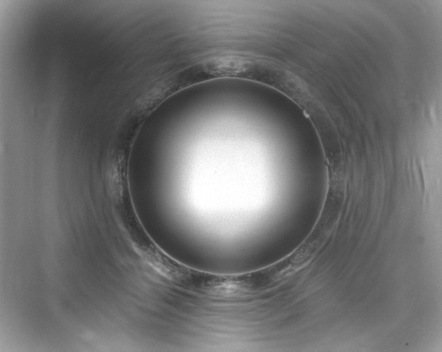 X0000076330460200609291124