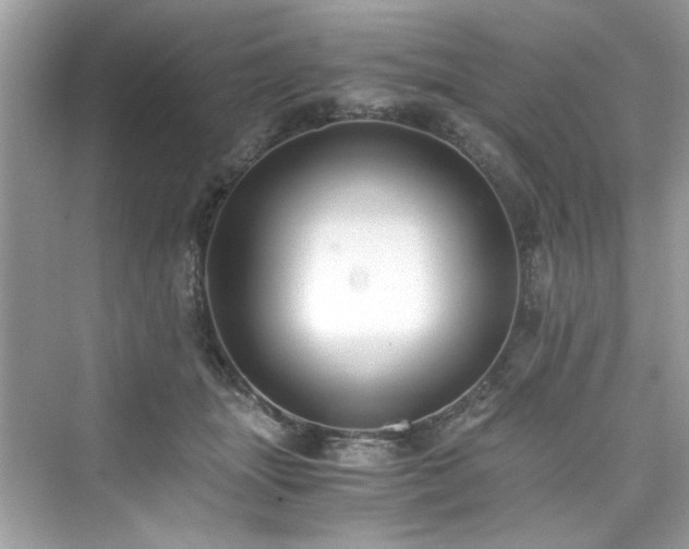 X0000076330463200609291125