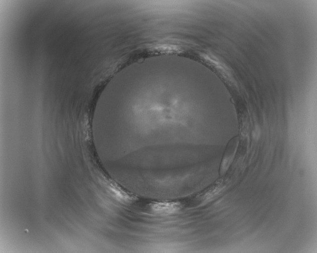 X0000076330465200609291125