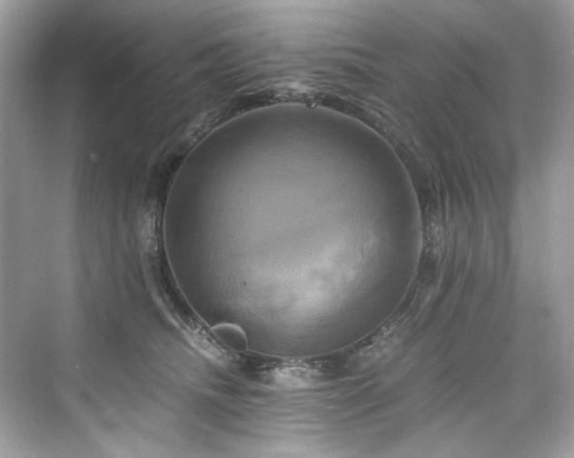 X0000076330468200609291125