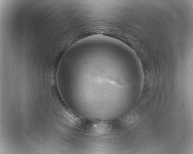 X0000076330470200609291125
