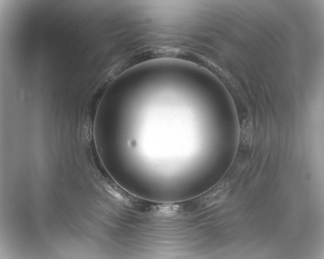 X0000076330474200609291125
