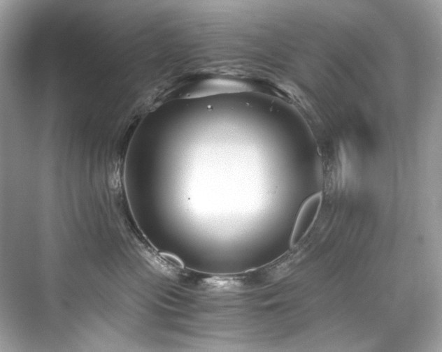 X0000076330477200609291125