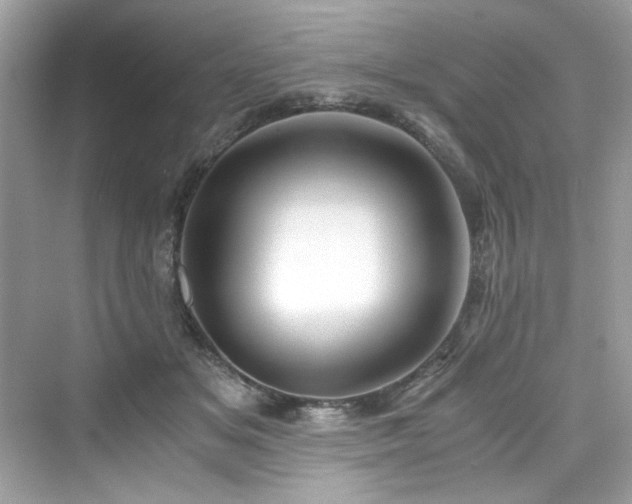 X0000076330509200609291124