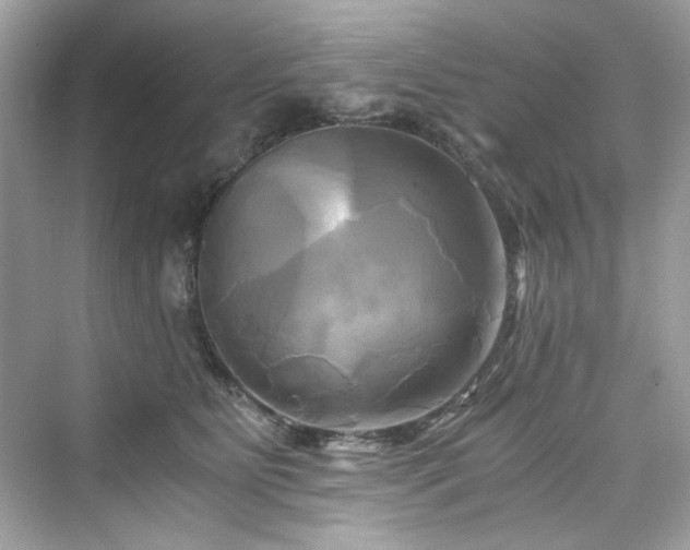 X0000076330515200609291123