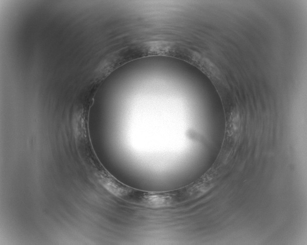X0000076330522200609291123