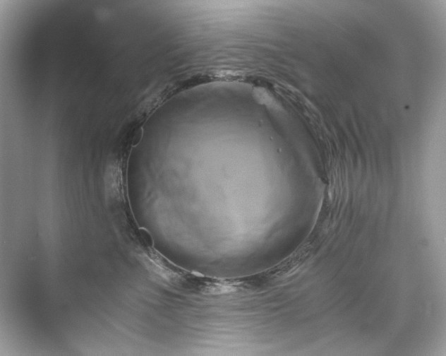 X0000076330523200609291123