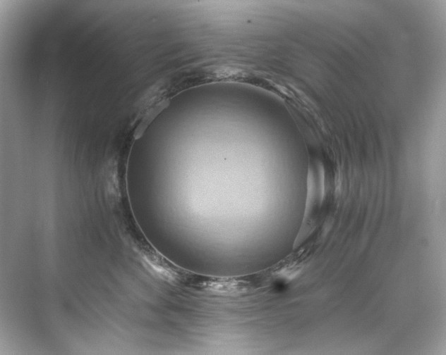 X0000076330524200609291123