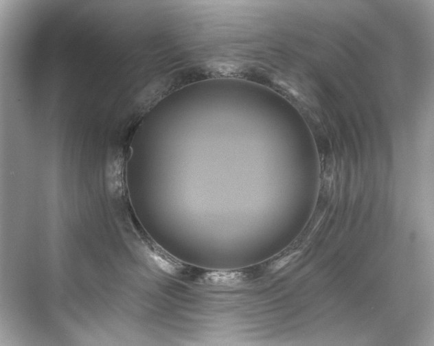 X0000076330526200609291123