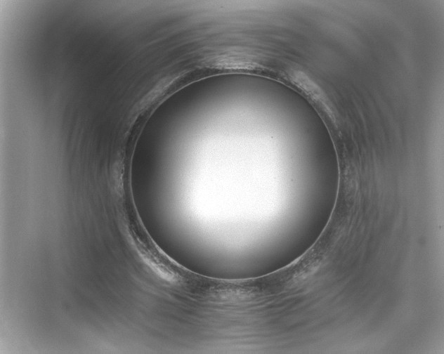 X0000076330533200609291122