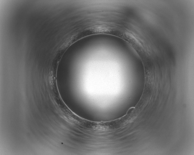 X0000076330549200609291123