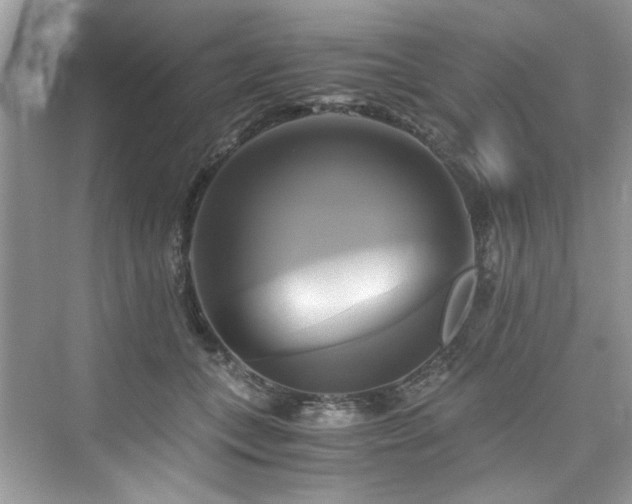 X0000076330559200609291123