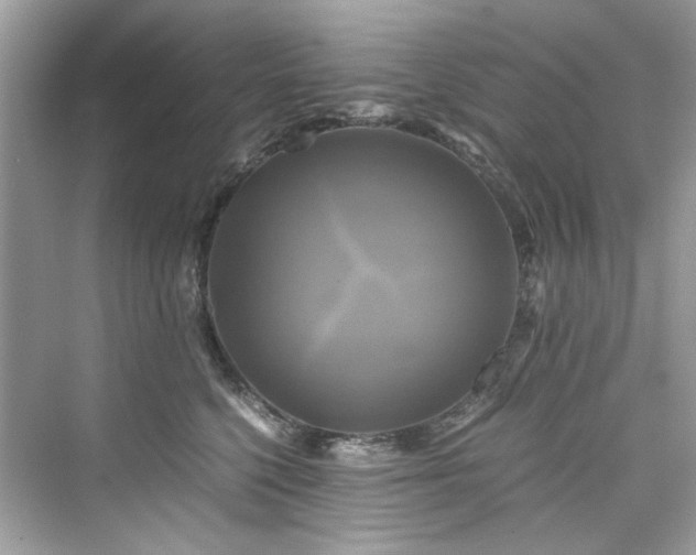 X0000076330568200609291123