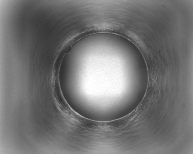 X0000076330583200609291122