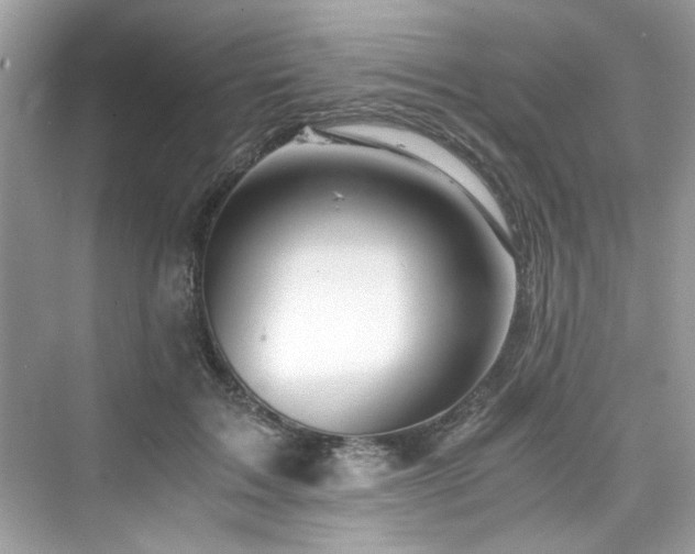 X0000076330603200609291122
