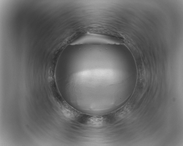 X0000076330606200609291122