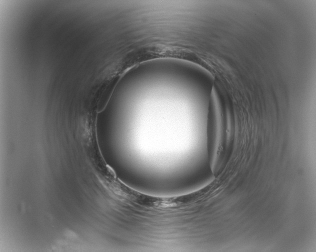 X0000076330607200609291122