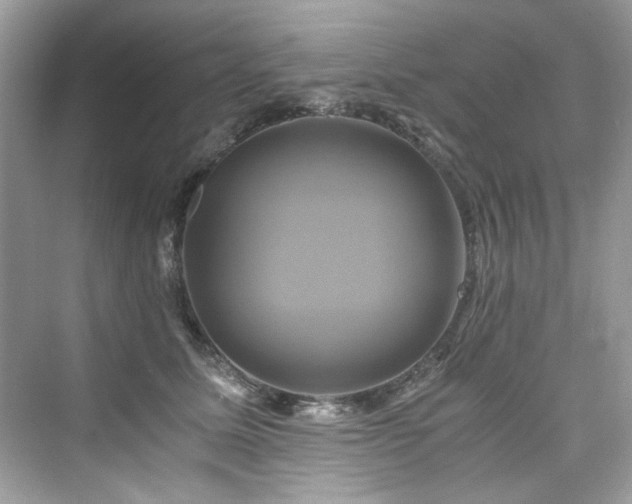 X0000076330611200609291122