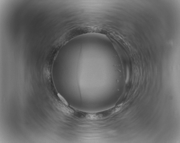 X0000076330613200609291122